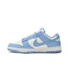 Nike Wmns Dunk Low 'Coast'