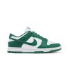 Nike Wmns Dunk Low Next Nature 'Bicoastal'