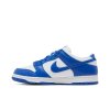 Nike Dunk Low Retro SP 'Kentucky'
