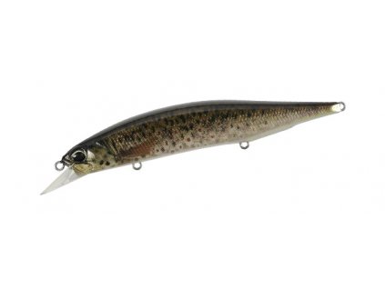 Wobler Duo Realis Jerkbait 120SP Pike Limited Brown Trout ND