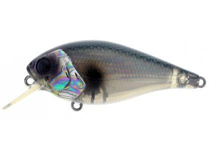 Biggie%2005%20Abalone%20Shad