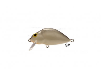 2026SP