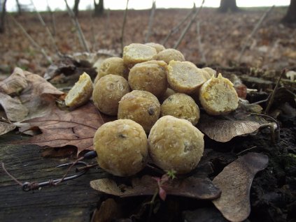 orech boilies9
