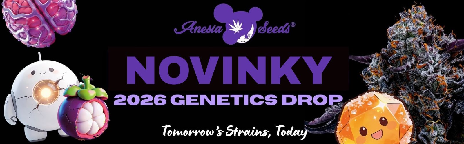 Novinky Anesia Seeds 2026