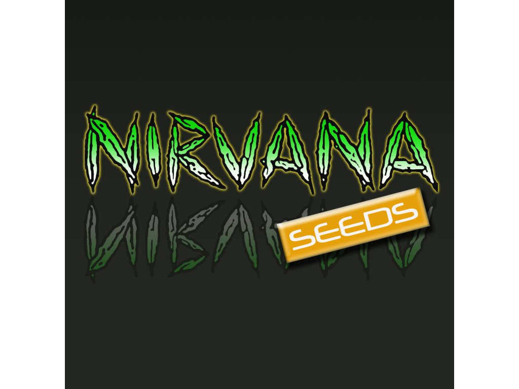 1293 1 mango kush nirvana 5 semen