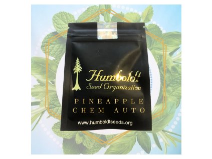 pineapple chem auto Humboldt seed organization