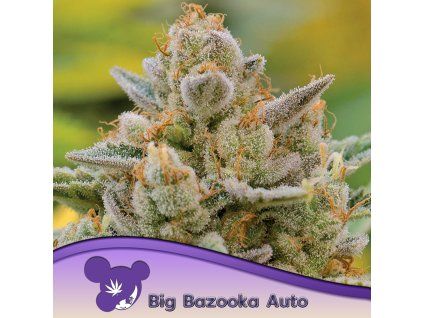 Big Bazooka Auto 960x960