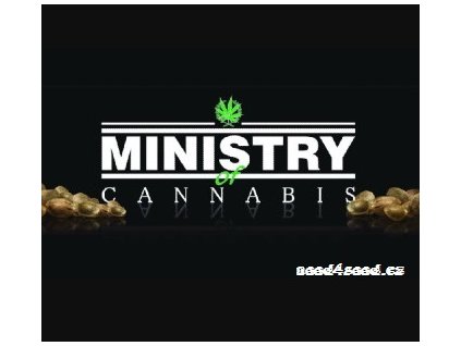 Auto Mandarin Haze Ministry of Cannabis (Počet kusů 10+2 semena)