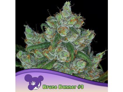 Bruce Banner 960x960