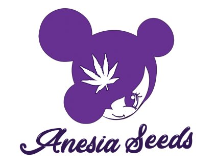 Fat Monkey Auto Anesia Seeds (Počet kusů 10 semen)