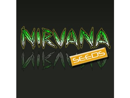 1362 1 skywalker og nirvana 5 semen