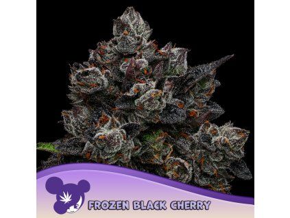 Frozen Black Cherry 960x960