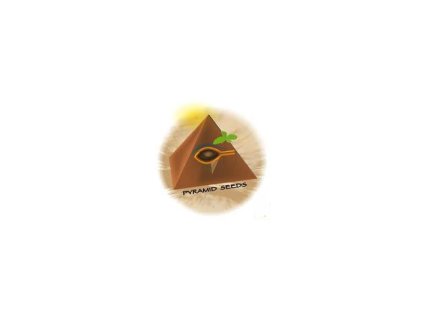 Auto Anubis Pyramid Seeds (Počet kusů 1 semeno)