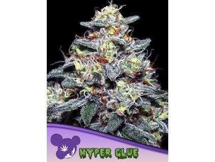 Hyper Glue 600x800 1