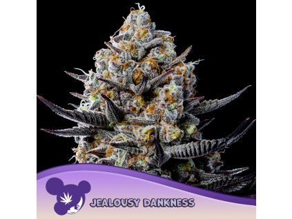 Jealousy Dankness 960x960