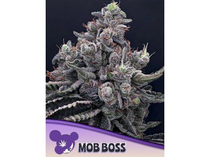 Mob Boss 600x800 1