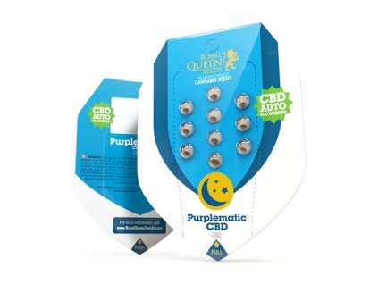 Purplematic CBD Auto Royal Queen Seeds (Počet kusů 1 semeno)