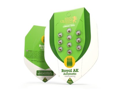 Royal AK Auto Royal Queen Seeds (Počet kusů 1 semeno)