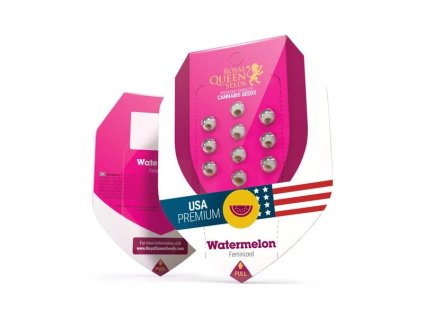 Watermelon Royal Queen Seeds (Počet kusů 1 semeno)