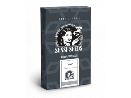 Big Bud Auto Sensi Seeds