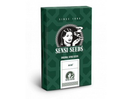 Big Bud regular Sensi Seeds 10 ks