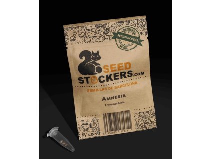 Amnesia Seed Stockers (Počet kusů 1 semeno)