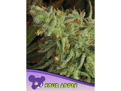 Sour Apple 600x800 1