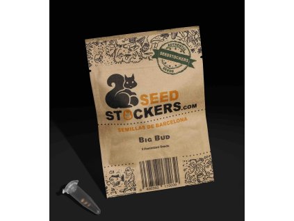 Big Bud Seed Stockers (Počet kusů 1 semeno)