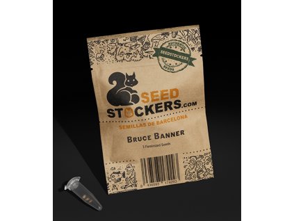 Bruce Banner Seed Stockers (Počet kusů 1 semeno)
