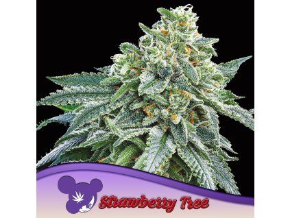 Strawberry Tree 960x960