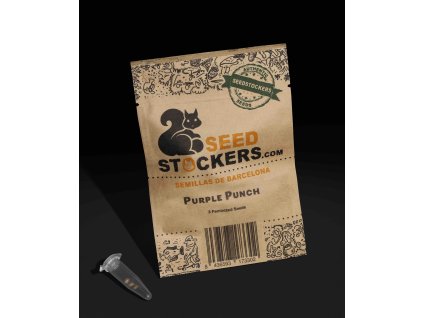 Purple Punch Seed Stockers (Počet kusů 1 semeno)