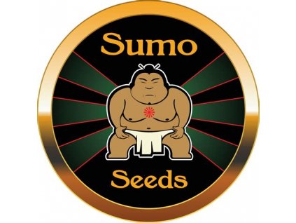 Blue Nitro Haze fem. Sumo Seeds 3 ks