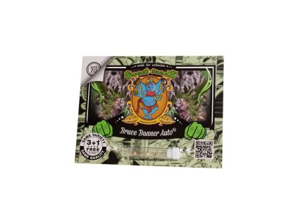 Bruce Banner Auto Sweet Seeds (Počet kusů 25 semen)