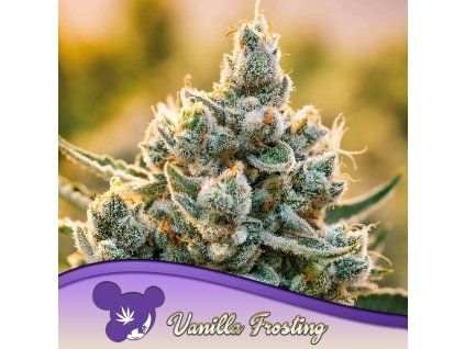 Vanilla Frosting 960x960