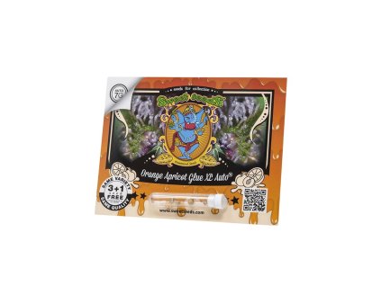 Orange Apricot Glue XL Auto Sweet Seeds (Počet kusů 3+1 semeno)