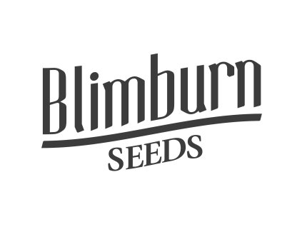 273 1 grizzly purple kush fem 9 semen blimburn seeds