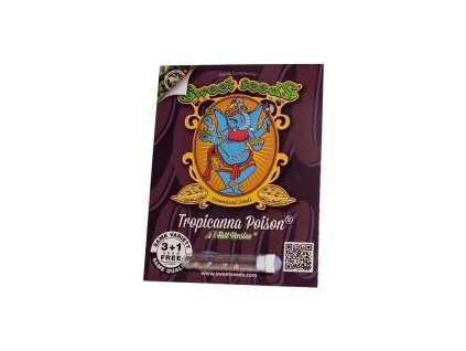 Tropicanna Poison F1 Fast Sweet Seeds (Počet kusů 3+1 semeno)