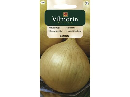 2937 1 cibule augusta vilmorin classic
