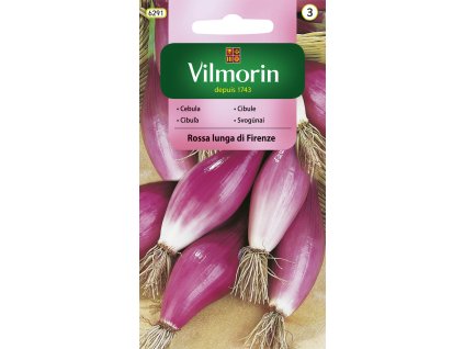 2946 1 cibule rossa lunga di firenze viola vilmorin classic 2 g