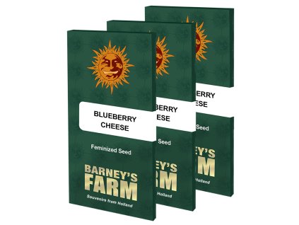 Blueberry Cheese Barney's Farm Seeds (Počet kusů 1 semeno)