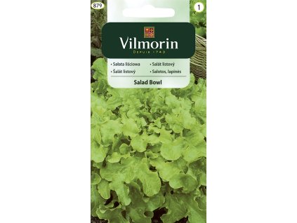 3117 1 salat listovy salad bowl vilmorin classic 1 g