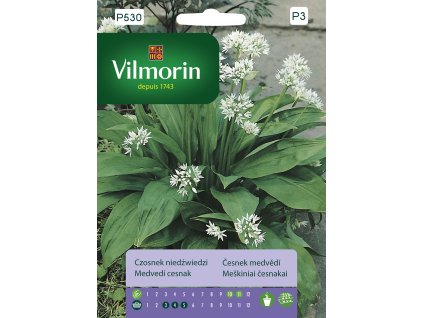 3219 1 cesnek medvedi vilmorin premium 0 4 g