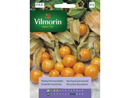 Mochyně peruánská Vilmorin Premium 0,1 g