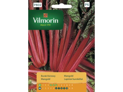 3261 1 mangold vilmorin premium 10 g