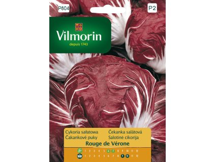 3264 1 cekanka salatova rouge de verone vilmorin premium 0 5 g
