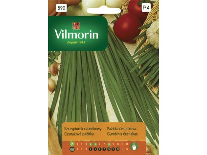 3267 1 pazitka cesnekova vilmorin premium