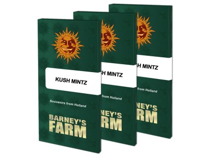 Kush Mintz Barney's Farm Seeds (Počet kusů 1 semeno)