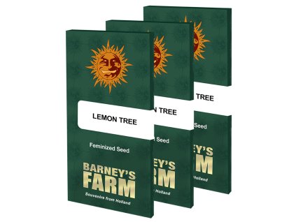 Lemon Tree Barney's Farm Seeds (Počet kusů 1 semeno)