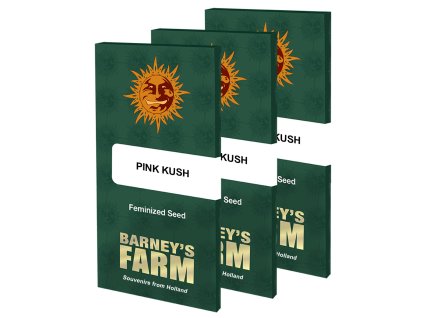 Pink Kush Barney's Farm Seeds (Počet kusů 1 semeno)