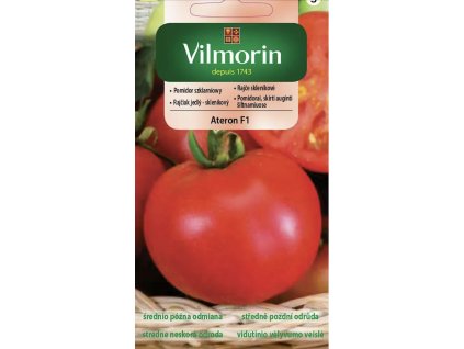 vilmorin rajce sklenikove ateron